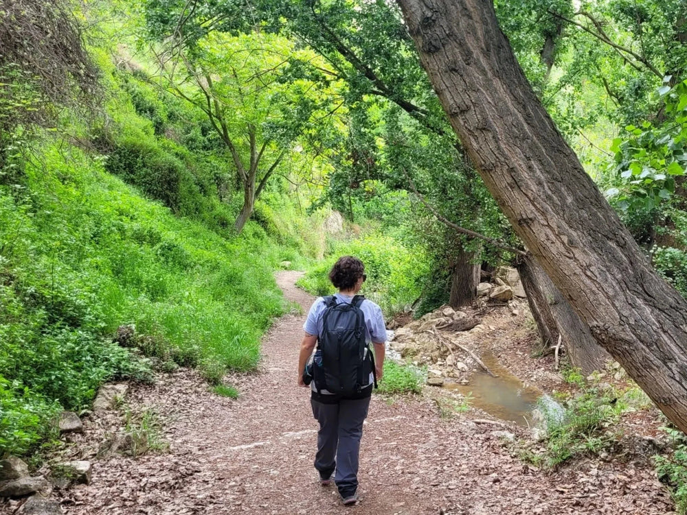 Person hiking on a trail through a lush green forest